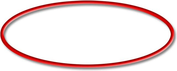 Sunsun Ersatzteil O-Ring für Sandfilter CSF-500 in Rot-matt