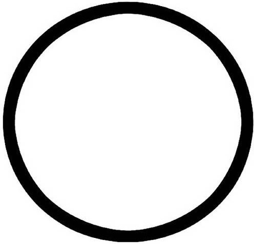 FIAP 2770-6 Ersatzverbinder O-Ring in Schwarz mit Durchmesser 5,5 cm - Bild 1