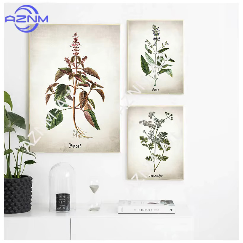 KAYOU Vintage Kräuterillustrationen Leinwandkunst Botanisches Poster für deine Küchen-Wanddekoration in Mehrfarbig - Bild 1