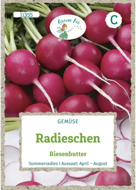 Grüne Fee Radieschen Riesenbutter Saatgut für Sommer und Herbst - Bild 1