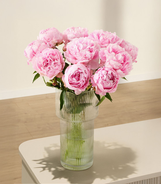 BLUME2000 Pfingstrosen Bunch pink 10 Stiele - Bild 1