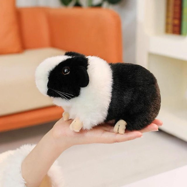 Binchi Fitness Meerschweinchen Plüschtier, 19cm, ab 14 Jahren - Bild 1
