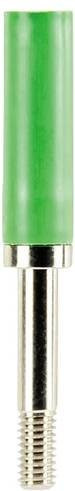 Wieland Electric Steckbuchse Z5.511.3553.7 in Grün, 10 Stück - Bild 1