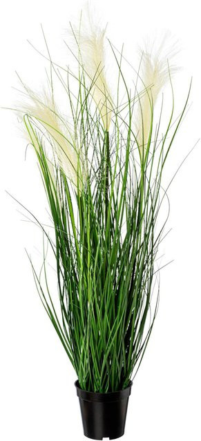 Gasper Kunstpflanze Pampas Grass in Creme-Grün aus Kunststoff, Höhe: 92 cm, Breite: 25 cm, Tiefe: 25 cm - Bild 1