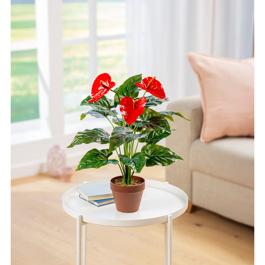 Künstliche Flamingoblume von Viva Domo in Mehrfarbig als Tischdekoration - Bild 2