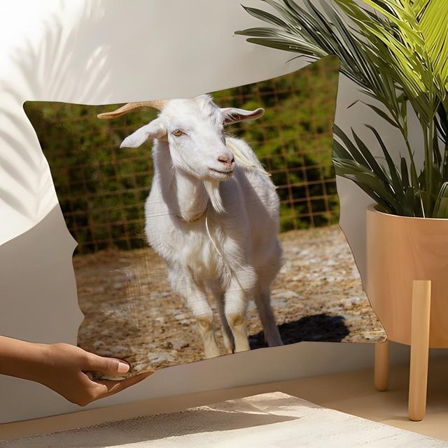 JMG Clothing Kissenbezug mit Ziegen-Meme Motiv in Weiß, Material: Leinen und Polyester, B/T/H: 40 x 40 x 0 cm - Bild 1