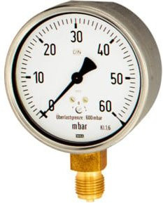 Riegler Kapselfedermanometer aus Stahl in Silber, G 1/4 radial unten, Messbereich 0-100 mbar, Durchmesser: 63 mm - Bild 1