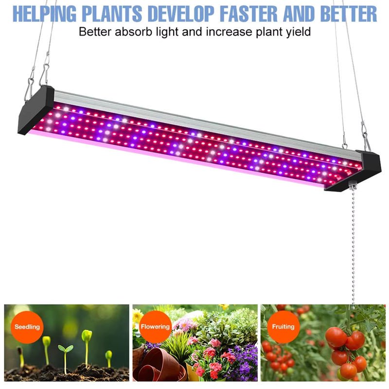 CanLing 300 W LED-Pflanzenwachstumslampe mit Vollspektrum-Quantenbrett aus Aluminium in Schwarz für Indoor-Blumen, Gemüse und Hydrokultur - Bild 4
