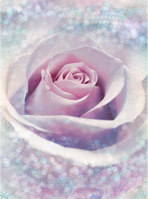 Komar Fototapete Vlies Delicate Rose in Pink, B: 200 cm, H: 260 cm - Bild 1