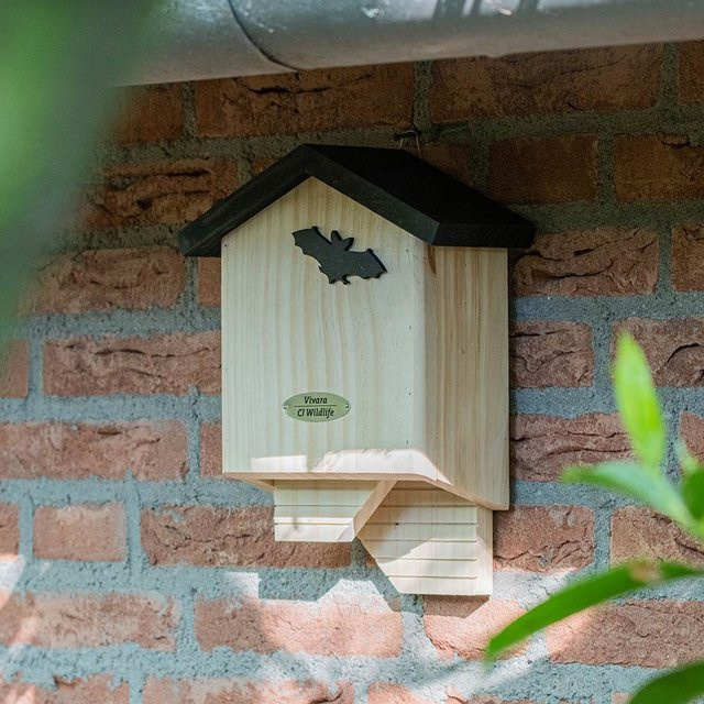 Fledermauskasten Chaumont von CJ Wildlife aus Holz in Schwarz und Braun - Bild 1