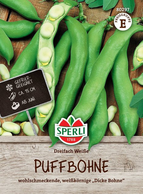 SPERLI Puffbohnen-Samen Dreifach Weiße - Bild 1