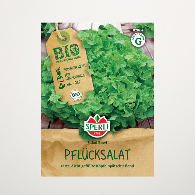 Sperli Pflücksalat Salad Bowl Bio Gemüsesaat für Garten und Balkon - Bild 1