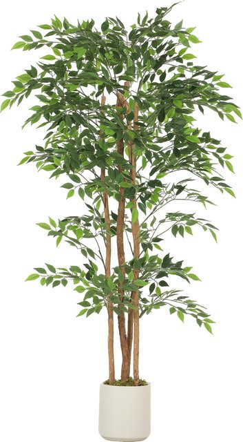 HOMCOM Künstlicher Banyanbaum in Grün und Weiß mit Massivholzstamm und Topf, Höhe: 180 cm - Bild 1