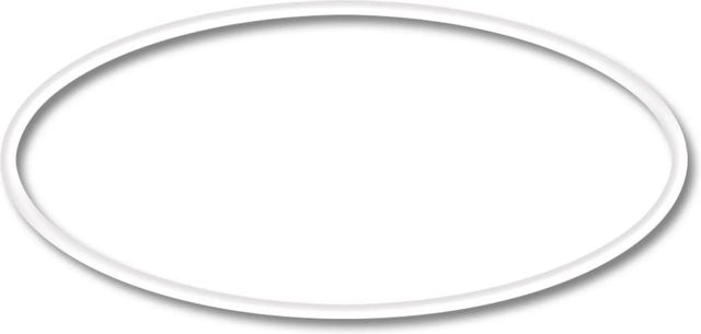 Sunsun Ersatzteil O-Ring Fixierung für Druckteichfilter der CPF-Serie in Transparent - Bild 1