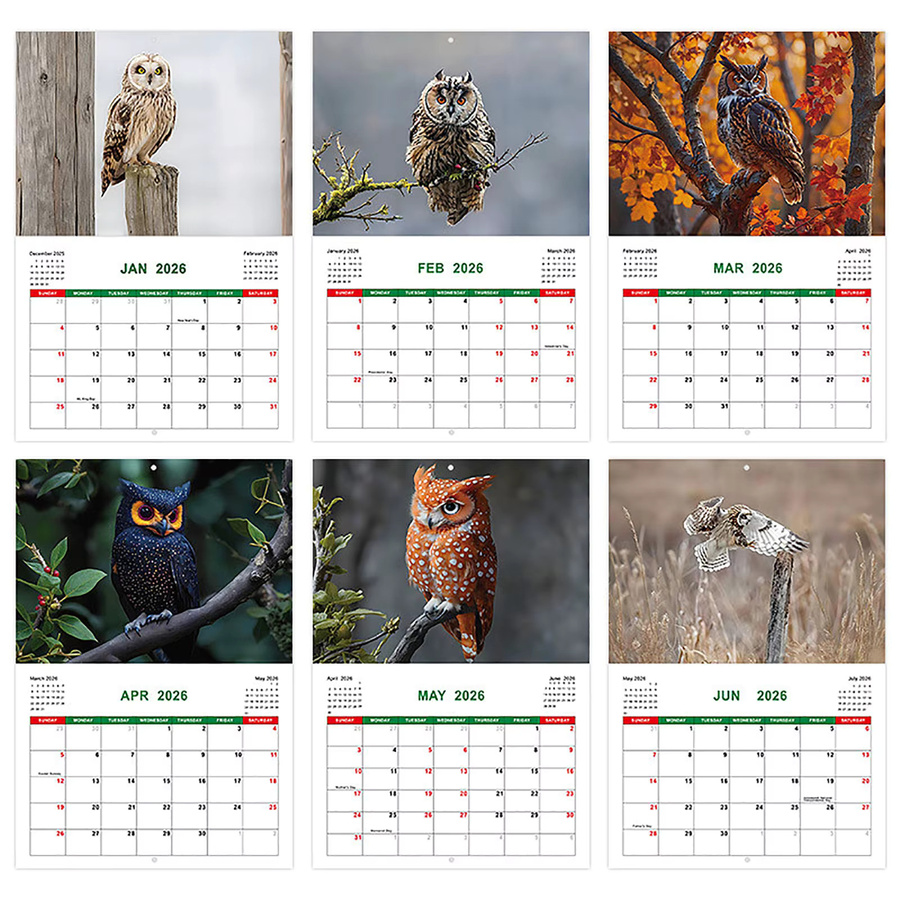 Wandkalender 2026 mit Eulen-Motiv, 12-Monats-Flip-Kalender in Mehrfarbig für deine Planung - Bild 4