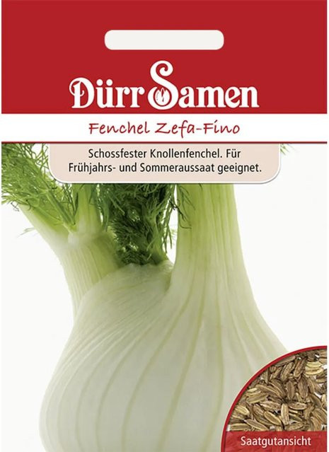Dürr Knollenfenchel Zefa-Fino Saatgut für Frühjahrsaussaat und Sommeraussaat - Bild 1