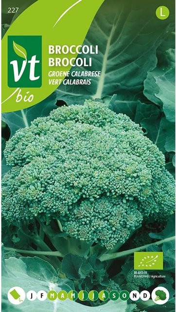 Arborix Bio Brokkoli Calabrese Samen, 0,3 g - Bild 1