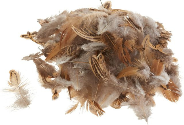 Othmar Decorations Hühnerfedern in Braun aus Naturmaterial für Ostern und Frühjahr, 3 g - Bild 1