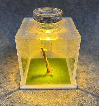 Binchi Outdoor Product Raupenspringspinne Zuchtbox Acryl, Insekt Mini-Box - Bild 1