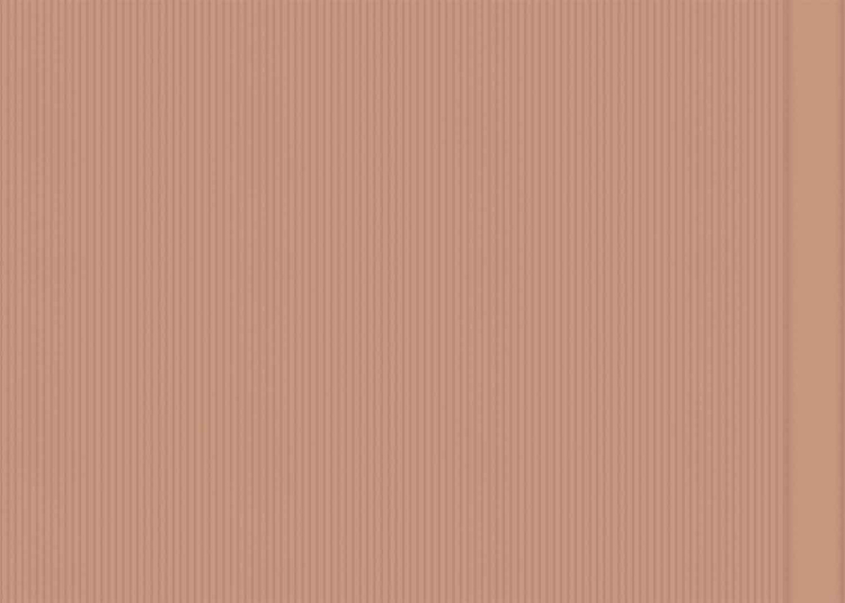 Élitis Tapete Colonne RM 1044 51 Beige gestreift modern - Bild 1