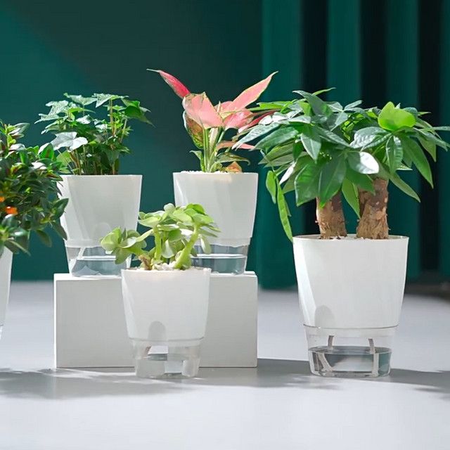 ROURKE 2er Set Selbstbewässernde Blumentöpfe aus Kunststoff für Haus und Garten, 5/6 Zoll Doppelschicht-Pflanzgefäße mit automatischer Wasserabsorption - Bild 1
