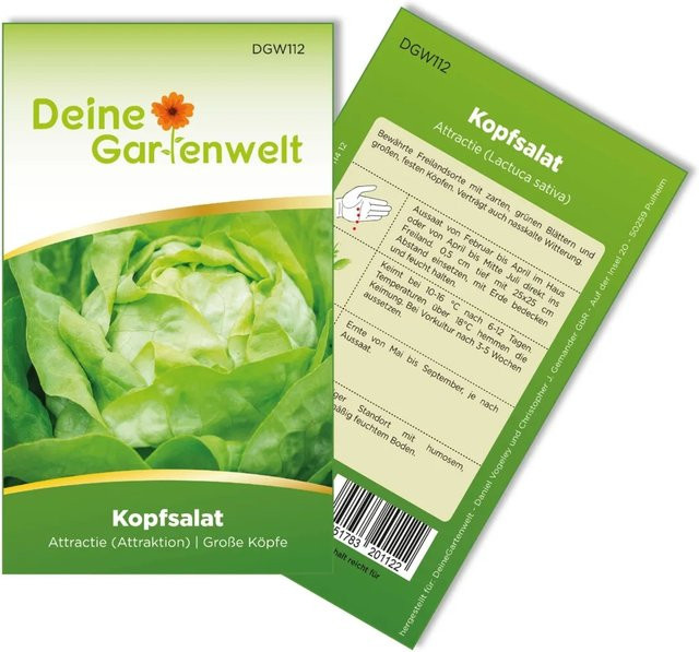 Deine Gartenwelt Kopfsalat Attractie/Attraktion Gemüsesamen für das Freiland - Bild 1