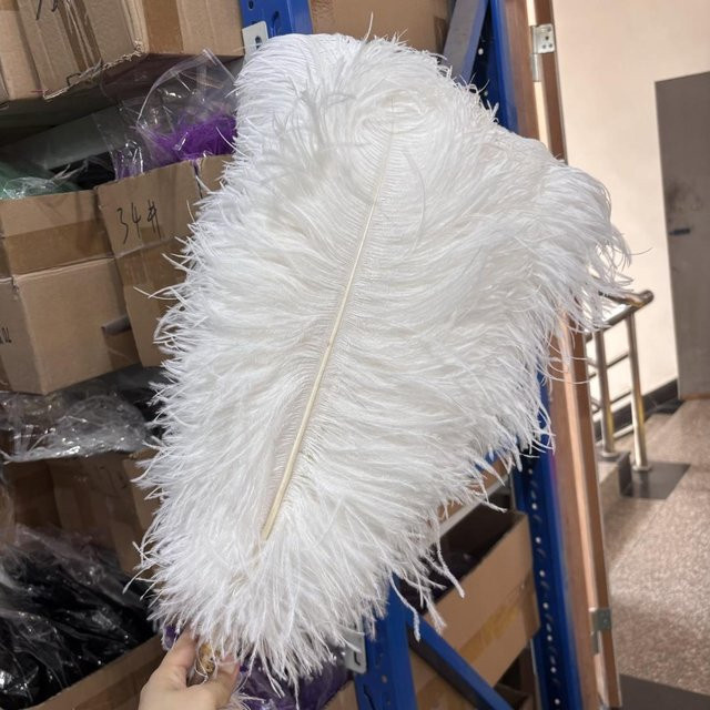 10 Stück weiße Straußenfedern von XQ We Wantice für Basteln, Party und Hochzeit, Länge: 55-60 cm - Bild 1