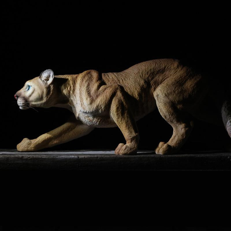 Yiran toy 1 Puma Tier Modell Actionfigur - Bild 2