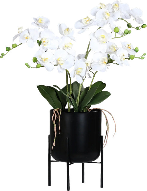 Künstliche Orchidee Farid von Aplanta in Real Touch mit schwarzem Metalltopf, Höhe: 70 cm - Bild 1