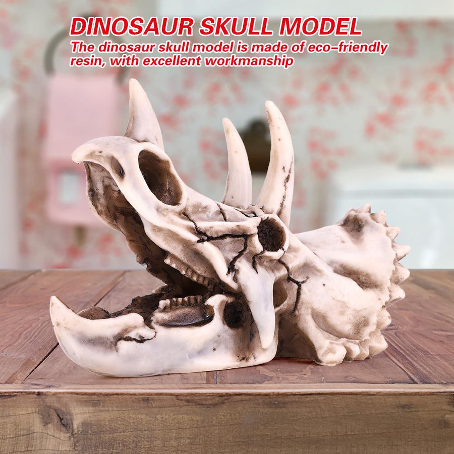 mfySpace Triceratops Schädel Modell aus Harz als dekoratives Dinosaurier Skelett für Heim und Büro - Bild 5