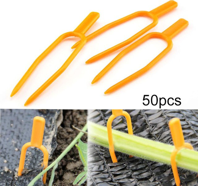50 Stück Kunststoff Pflanzenkletter-Clips in Orange zur Unterstützung von Blumen, Erdbeeren und Tomaten im Garten - Bild 1