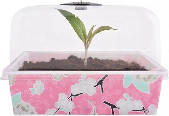 Jet-Line Blumenkasten mit Blumenmuster in Rosa-Weiss, 3er Set, B/T/H: 22 x 17 x 15 cm - Bild 1