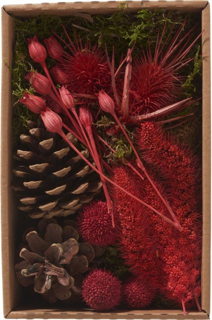 Othmar Decorations Trockenblüten Potpourri Set Red in Rot aus Naturmaterialien für ein winterliches Ambiente - Bild 1