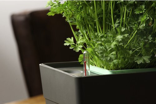 GREENBAR Wasserstandsanzeiger für die GREENBAR Kräuerbox in Schwarz - Bild 1
