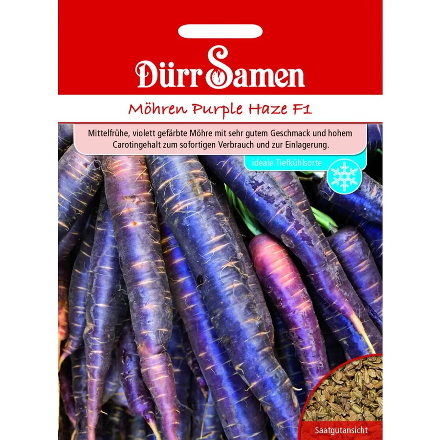 Dürr Samen Möhren Purple Haze F1 Gemüse-Saatgut - Bild 2