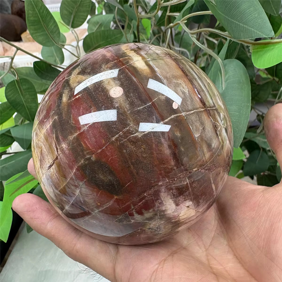 CrystalHola Holzfossilkugel aus Stein in rustikalem Design für die Tischdekoration - Bild 2