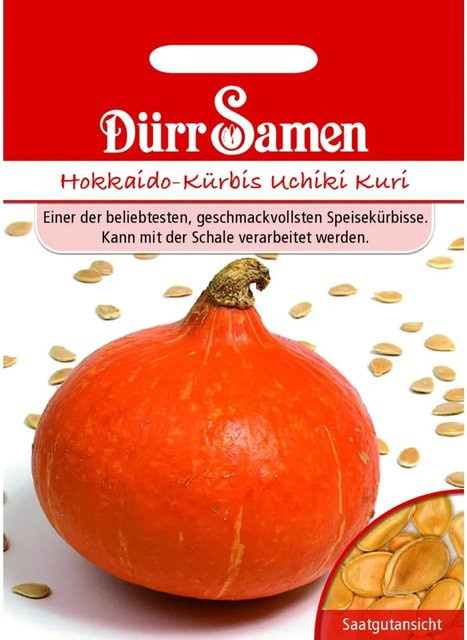 Dürr Hokkaido-Kürbis Uchiki Kuri Saatgut 155 g - Bild 1