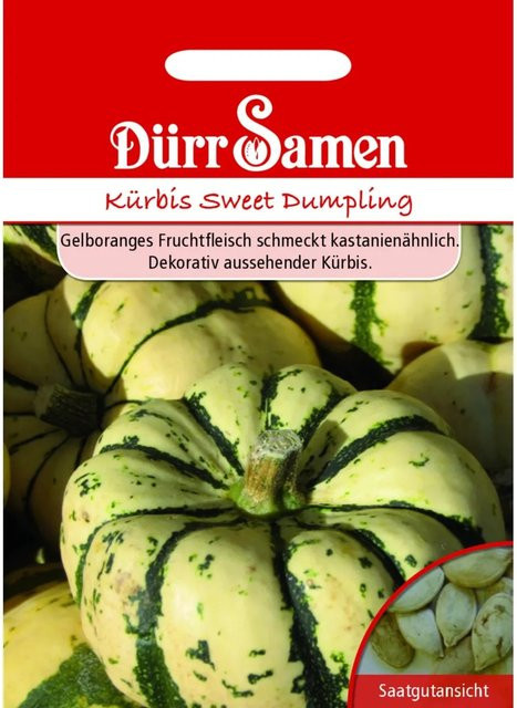Dürr Sweet Dumpling Kürbis Saatgut - Bild 1