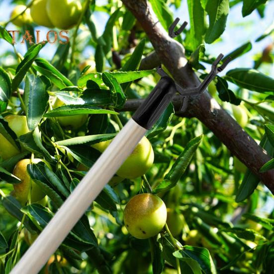 8 Stück Aststützen aus Metall in Schwarz für Obstbäume und Garten - Bild 3