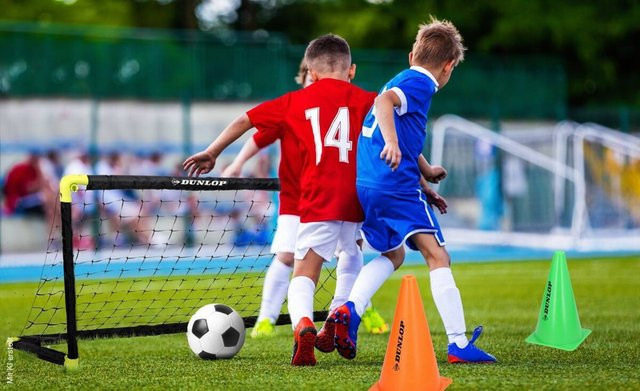 Dunlop faltbares Fußballtor, schwarz - Bild 1