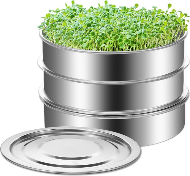 Sprouts Growing Tray Stapelbares Samensprossentablett aus Edelstahl in Silber für Bohnen und Erbsen, B/T/H: 21,5 x 21,5 x 14,0 cm - Bild 1