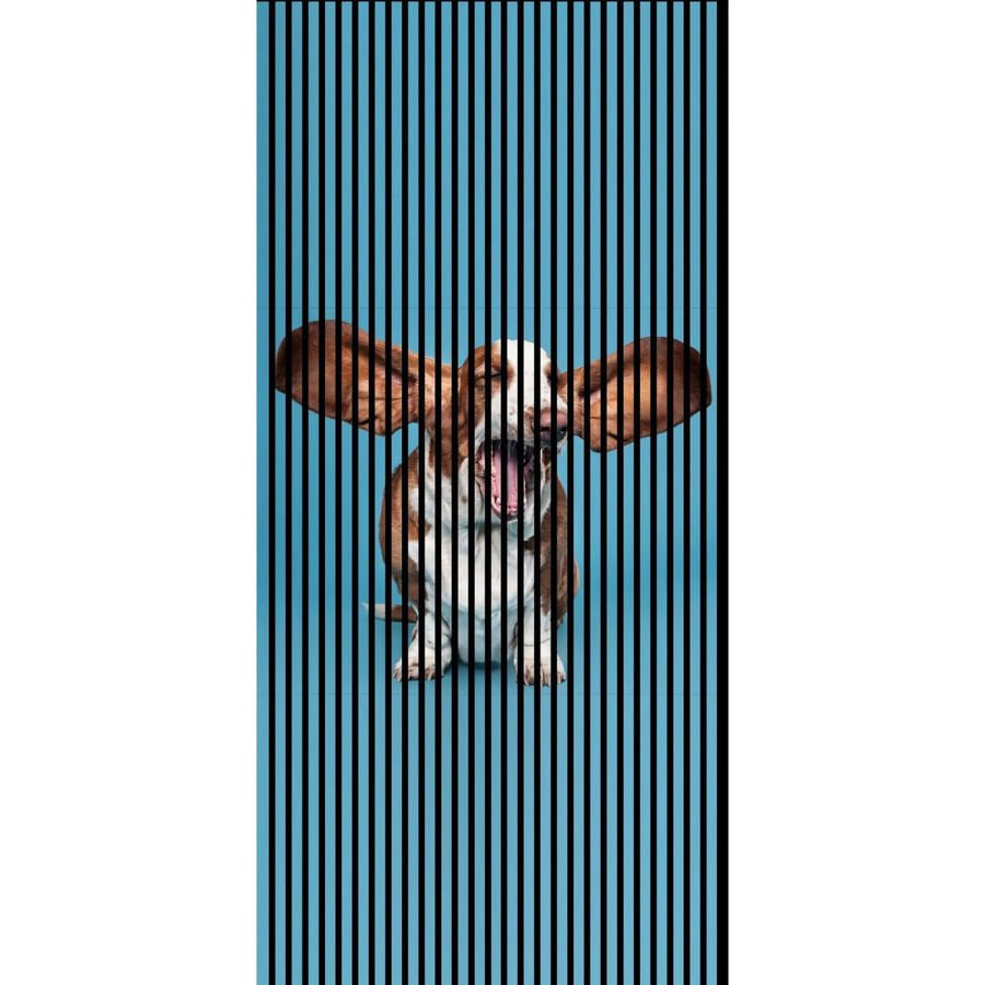 FN Acustico Akustikplatte Dog 1 in Bunt aus PET und MDF mit Klebefolie, H x B x T: 2.400 x 1.133 x 19 mm - Bild 2