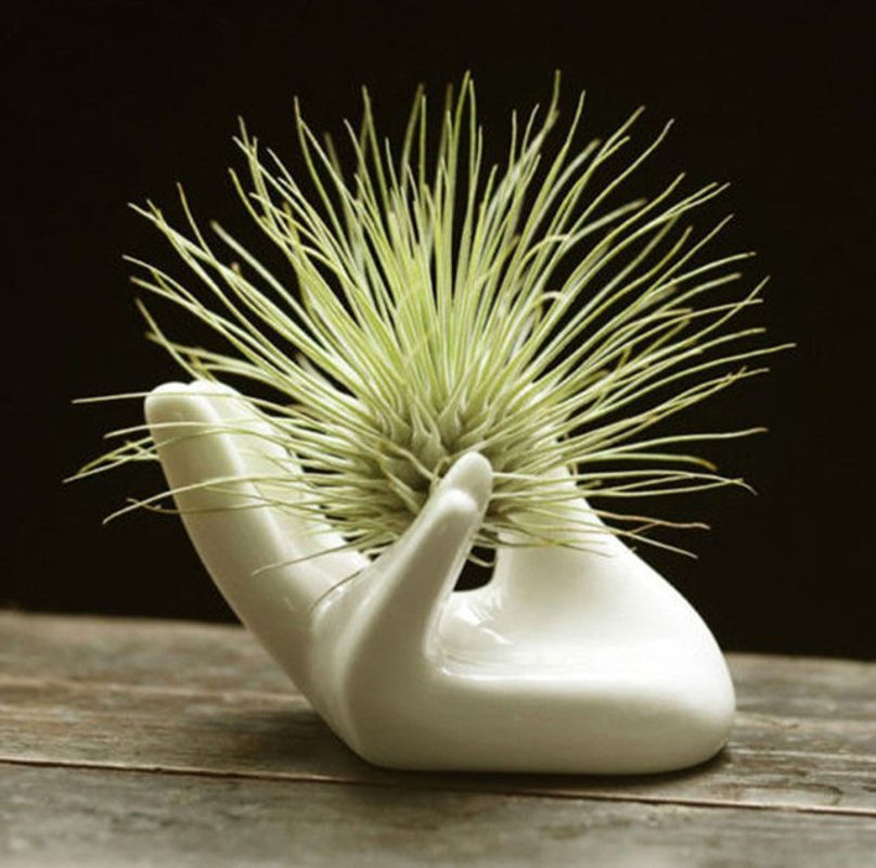 Minimalistischer Keramik-Blumentopf aus weißem Porzellan für Tillandsien und Luftpflanzen - Bild 1