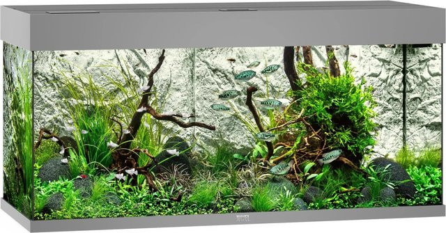 Juwel Aquarium Rio LED 180 in Grau - Bild 1