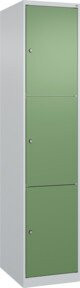 C+P Schließfachschrank Classic PLUS mit 1 Abteil in Grau und Resedagrün, H x B x T: 185 x 40 x 50 cm - Bild 1