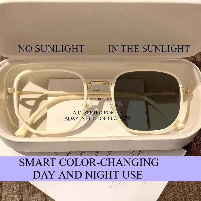 MDOD Sonnenbrille, Vollrand, square, unisex - Bild 1