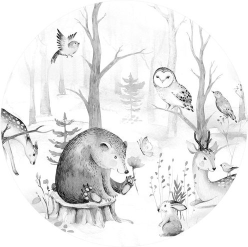 K&L Wall Art Vliestapete Kvilis Tierfreunde Waldtiere, mehrfarbig, matt, B: 284 cm, H: 284 cm - Bild 1