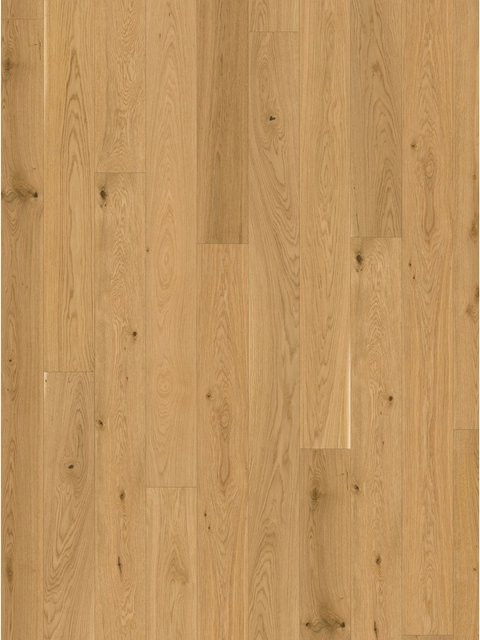 Parador Parkett Trendtime 4 Living Eiche Molvina Natur Lackiert Matt - Bild 1