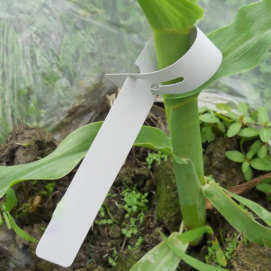 100 Stück wasserdichte PVC-Pflanzenetiketten in Weiß zur Markierung von Bäumen und Pflanzen für Garten und Außenbereich - Bild 4