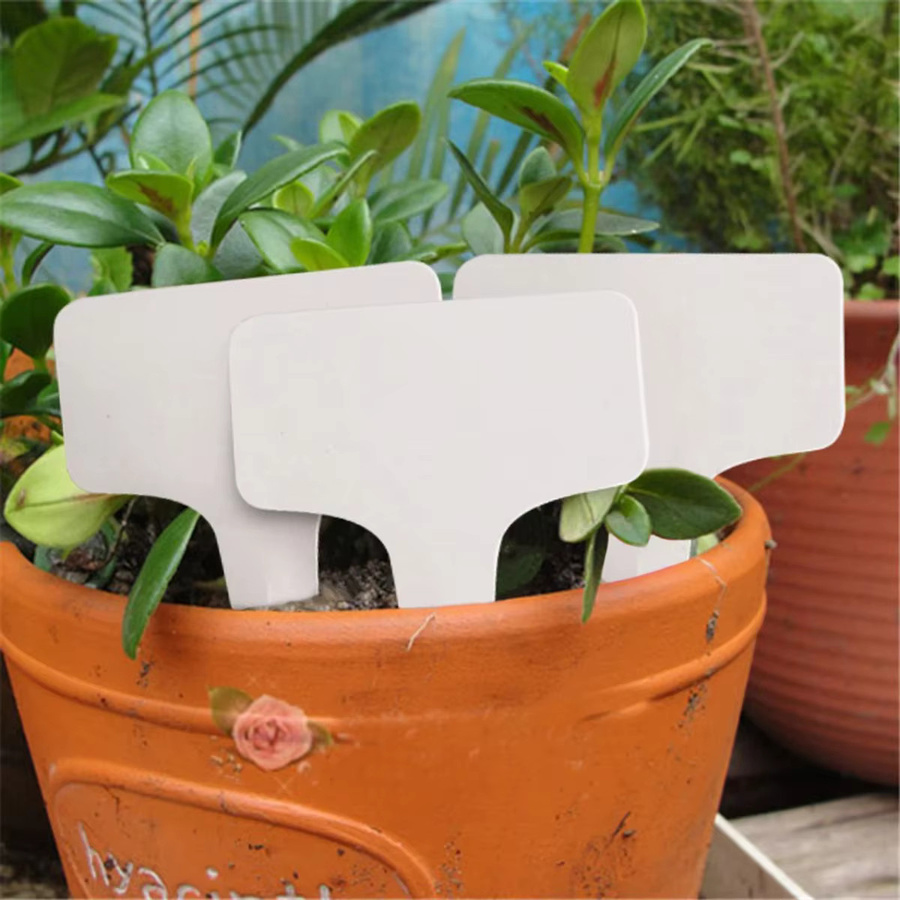 Weiße T-Typ Pflanzenschilder aus PVC für Garten und Kindergarten, Etiketten für Sämlinge und Blumentöpfe, B: 10 cm, H: 6 cm - Bild 2